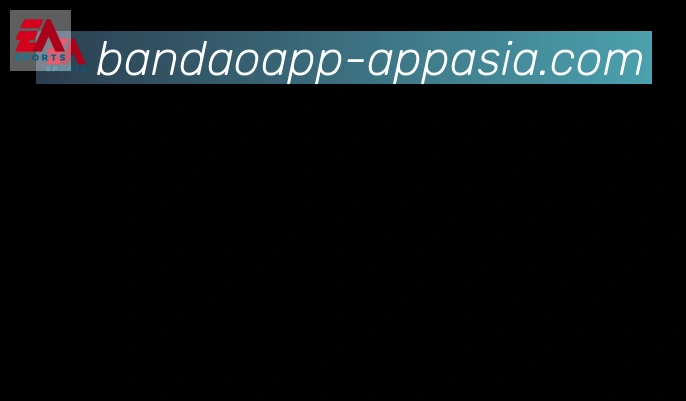 半岛体育app合作伙伴